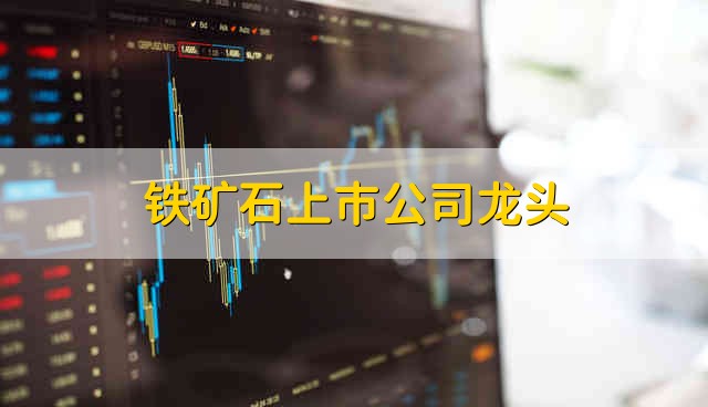 铁矿石上市公司龙头 龙头铁矿石公司有哪些