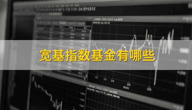 宽基指数基金有哪些 宽基指数基金都有什么
