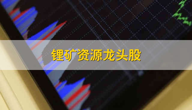 锂矿资源龙头股 锂矿上市公司龙头
