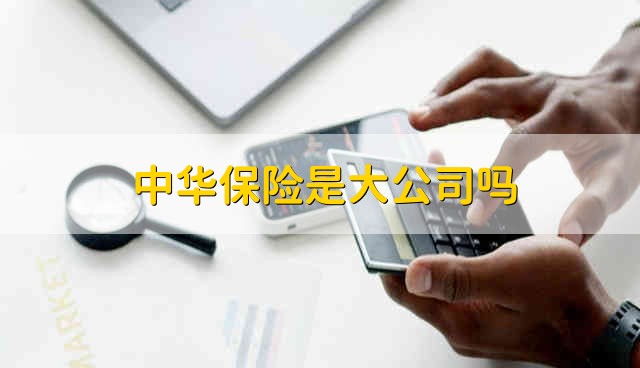 中华保险是大公司吗 中华保险公司规模怎么样