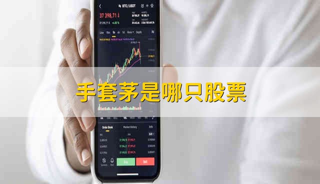 手套茅是哪只股票 手套茅是什么股票