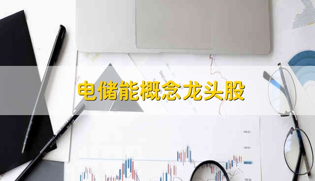 电储能概念龙头股 电储能股票的简要分析