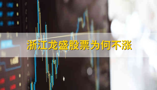 浙江龙盛股票为何不涨 浙江龙盛股票情势分析