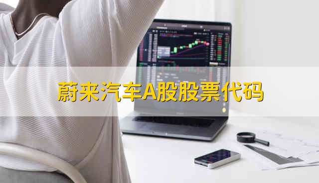 蔚来汽车A股股票代码 汽车行业股票的简要分析