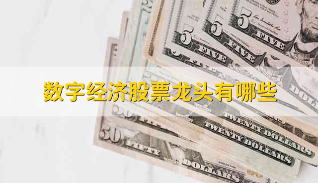 数字经济股票龙头有哪些 数字经济股票的简要分析