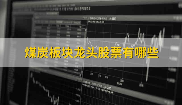 煤炭板块龙头股票有哪些 煤炭板块股票的简要分析