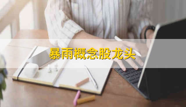 暴雨概念股龙头 暴雨股票的简要分析