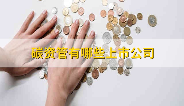 碳资管有哪些上市公司 碳资管上市公司有哪些