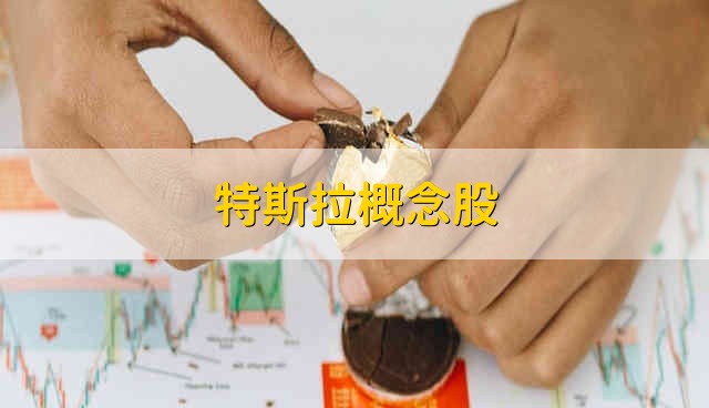 特斯拉概念股 特斯拉的概念股票