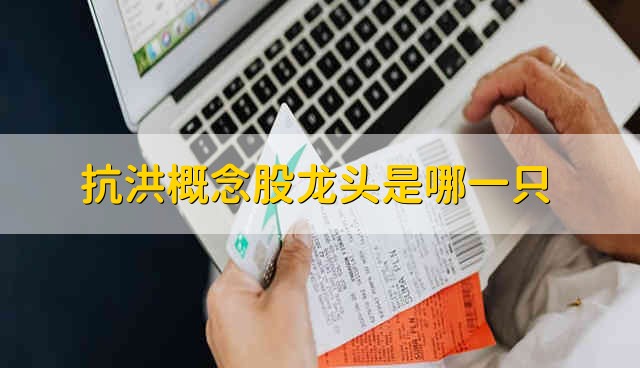 抗洪概念股龙头是哪一只 抗洪股票资金流向介绍