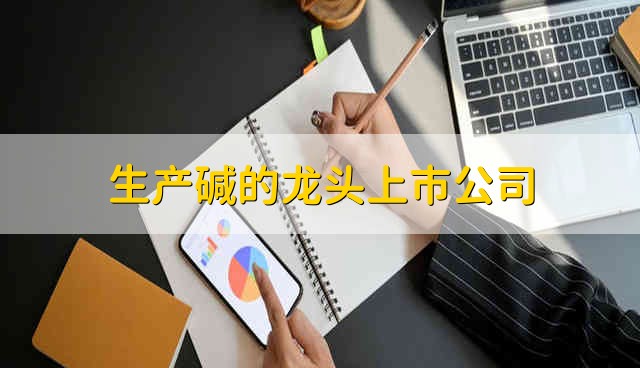 生产碱的龙头上市公司 生产碱的股票资金流向介绍