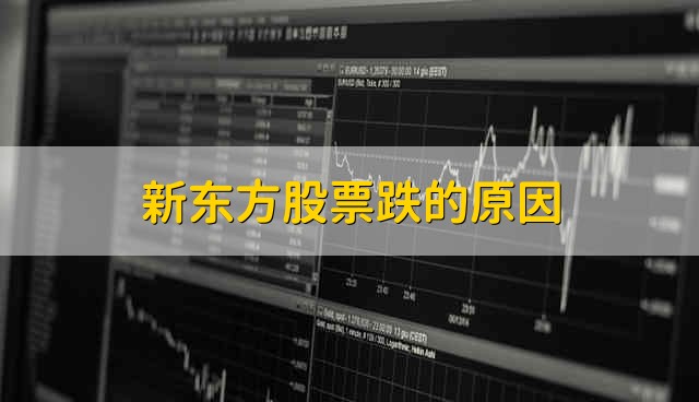 新东方股票跌的原因 新东方股票为什么跌