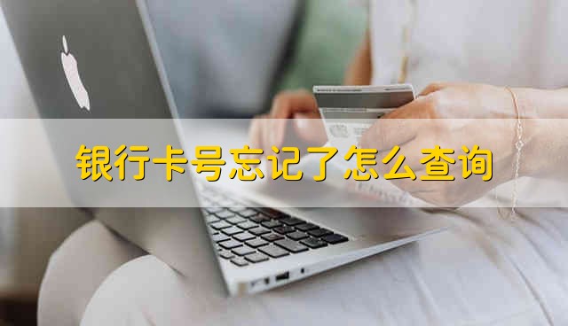 银行卡号忘记了怎么查询 银行卡的卡号忘了如何查询