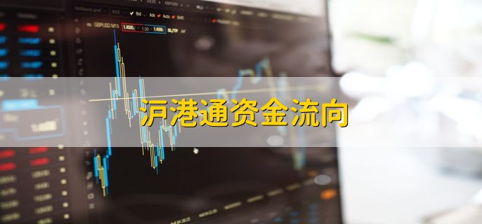 沪港通资金流向 可在交易软件查看