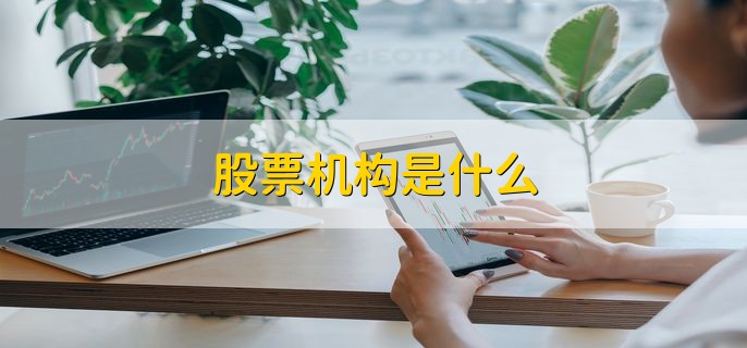 股票机构是什么 以交易股票为收入的公司