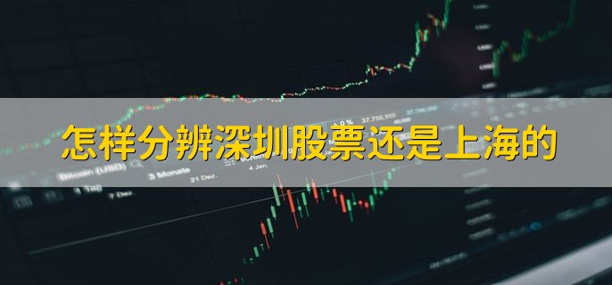 怎样分辨深圳股票还是上海的，分为以下四点