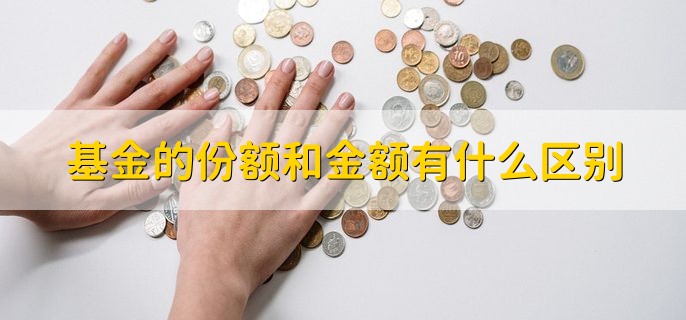 基金的份额和金额有什么区别，分为以下两点