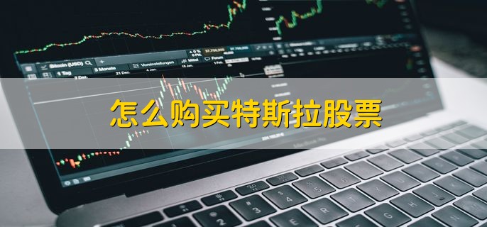 怎么购买特斯拉股票，有以下两种方式