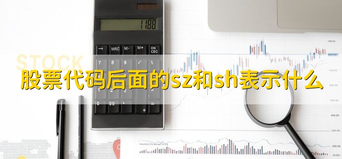 股票代码后面的sz和sh表示什么，分别是深市股票和沪市股票