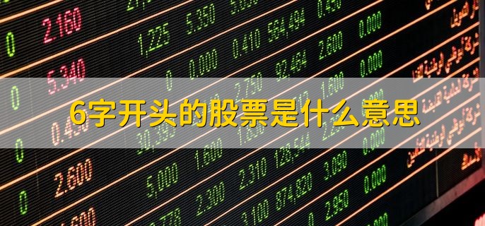 6字开头的股票是什么意思，上交所上市的股票