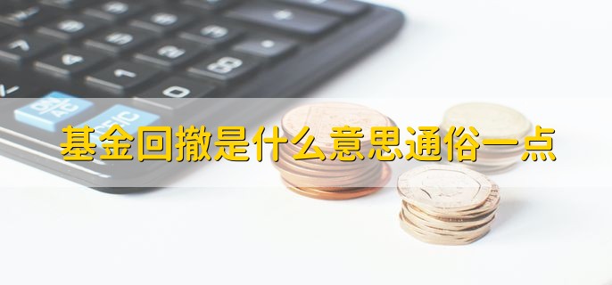 基金回撤是什么意思通俗一点，基金下跌