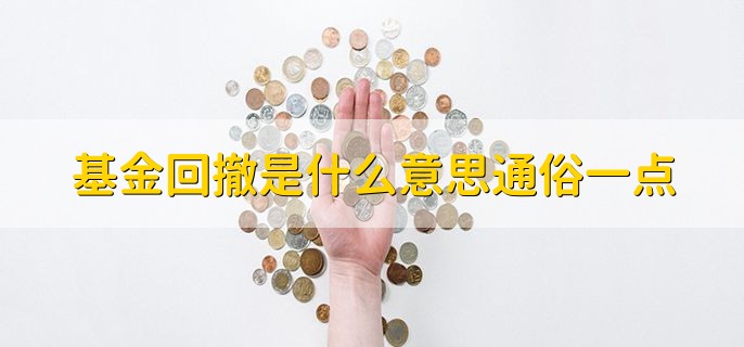 基金回撤是什么意思通俗一点，基金下跌