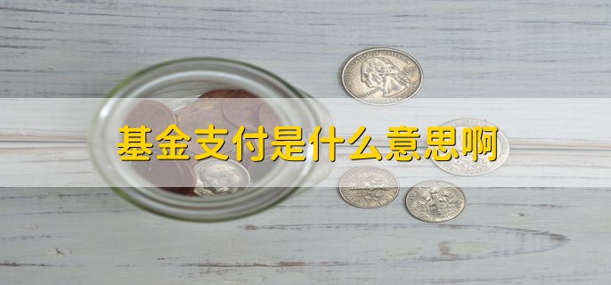 基金支付是什么意思啊，指统筹基金支付