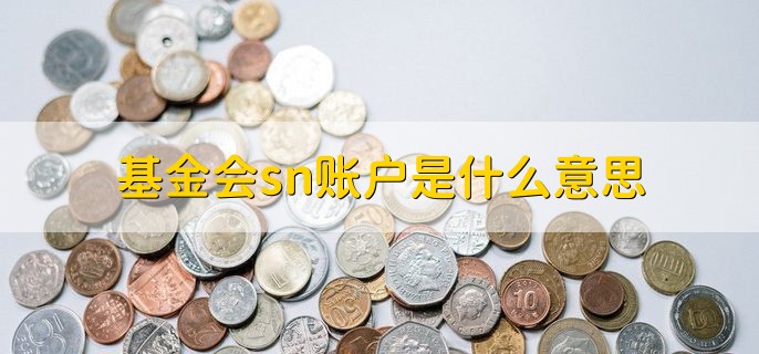 基金会sn账户是什么意思，基金会有哪些特点