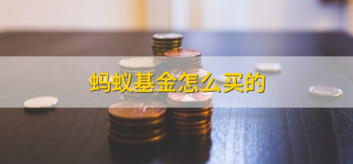 蚂蚁基金怎么买的，简单四步轻松购买