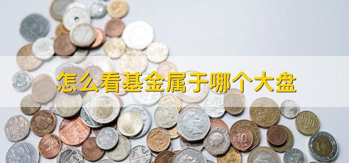 怎么看基金属于哪个大盘，有以下两种方法