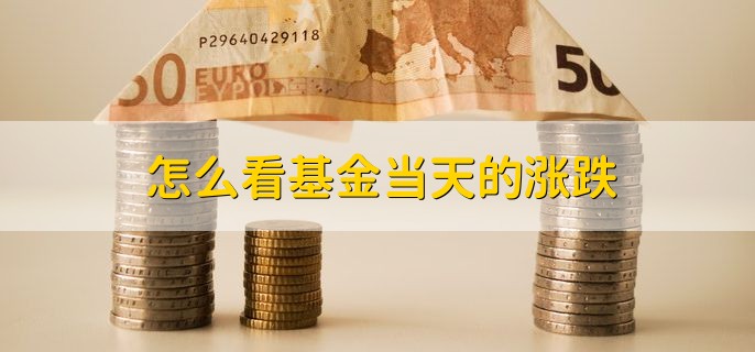 怎么看基金当天的涨跌，有以下两种方法