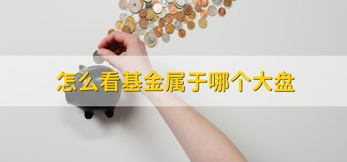 怎么看基金属于哪个大盘，有以下两种方法