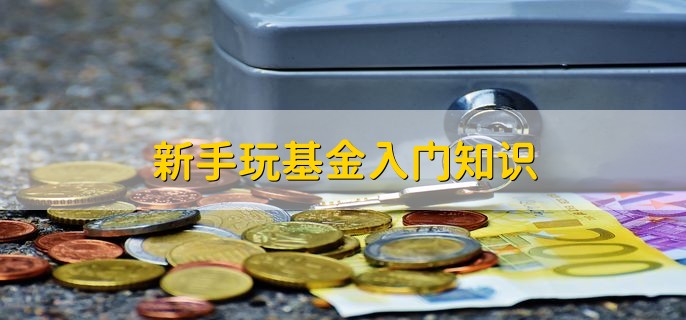 新手玩基金入门知识，有以下四种