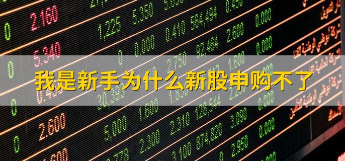 我是新手为什么新股申购不了，有以下五种原因