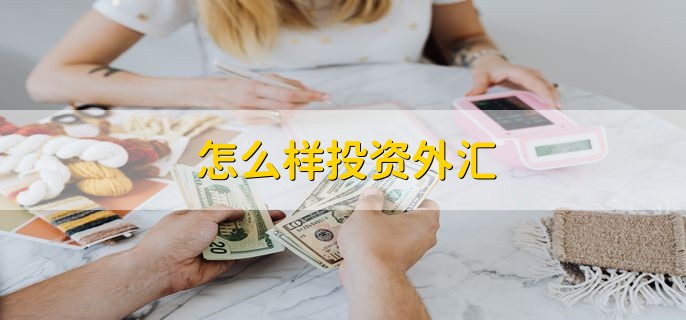 怎么样投资外汇，分以下四点