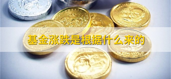 基金涨跌是根据什么来的，有以下两点