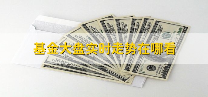 基金大盘实时走势在哪看，有以下两种情况