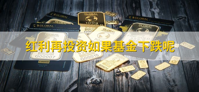 红利再投资如果基金下跌呢，自负盈亏