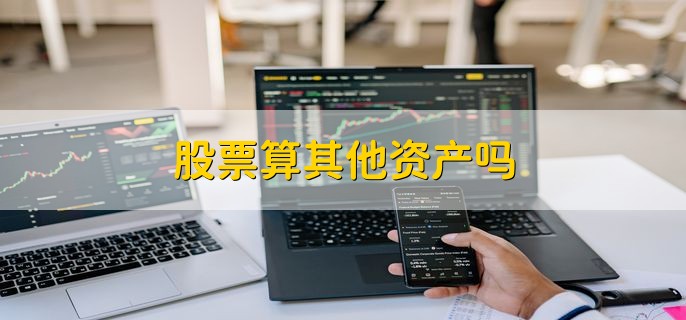 股票算其他资产吗，不算