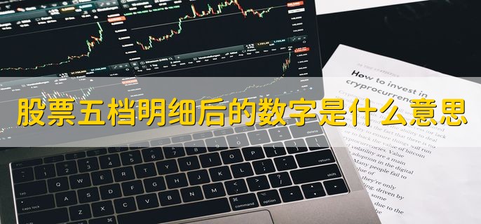 股票五档明细后的数字是什么意思，未成交委托的股数或是金额