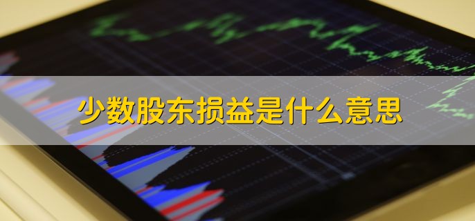 少数股东损益是什么意思，是要在利润中除掉的部分