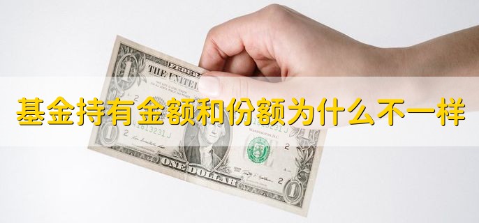 基金持有金额和持有份额为什么不一样，持有份额是购买数量