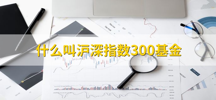 什么叫沪深指数300基金，追踪沪深300指数的基金