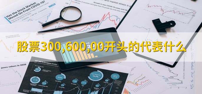 股票300,600,00开头的代表什么