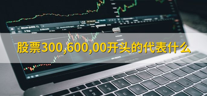 股票300,600,00开头的代表什么