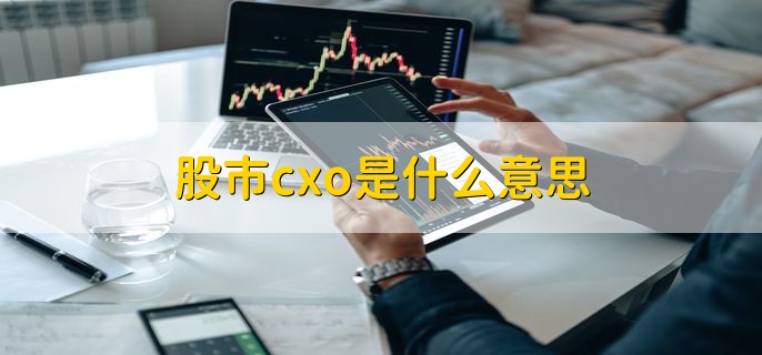 股市cxo是什么意思，经营医药研发及生产外包的上市公司