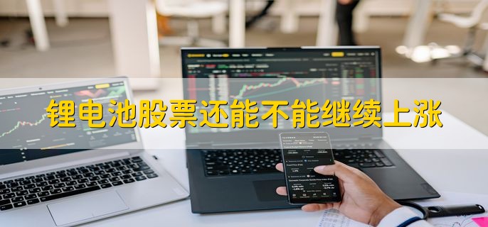 锂电池股票还能不能继续上涨，无法确定