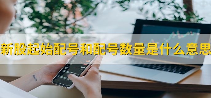 新股起始配号和配号数量是什么意思，有以下两点