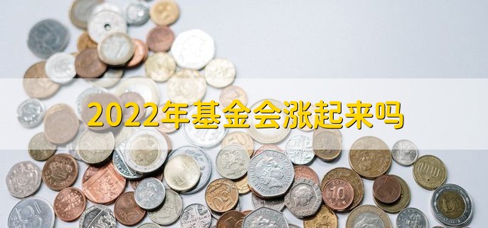 2022年基金会涨起来吗，不能确定