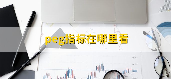 peg指标在哪里看，无法直接查看